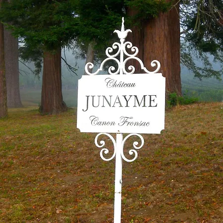 Chateau Junayme Vakantiehuis Fronsac (Gironde)